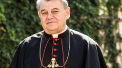Kardinal Dominik Duka OP ist der 36. Erzbischof von Prag und Primas von Böhmen. / (CC BY-SA 4.0) 