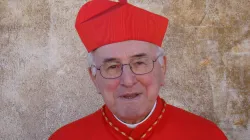 Kardinal Walter Brandmüller / CNA/Paul Badde