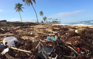 Plastmüll am Strand von Mexiko / Dustn Woodhouse / Unsplash (CC0)