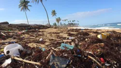 Plastmüll am Strand von Mexiko / Dustn Woodhouse / Unsplash (CC0)