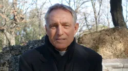 Erzbischof Georg Gänswein / AC Wimmer / CNA Deutsch / EWTN News