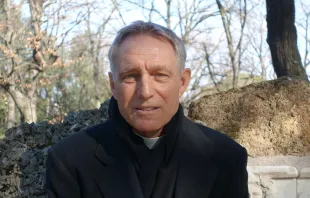 Erzbischof Georg Gänswein / AC Wimmer / CNA Deutsch / EWTN News