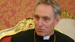 Erzbischof Georg Gänswein im Interview. / EWTN/Paul Badde