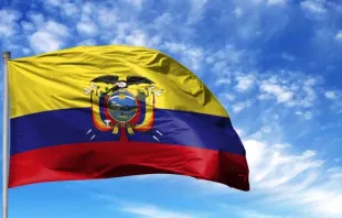 Flagge von Ecuador / Foto: Millenius / Shutterstock