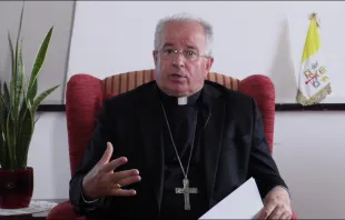 Erzbischof Jurkovic im EWTN-Interview / Screenshot