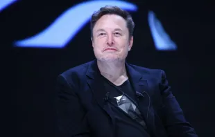 Elon Musk bei einer Veranstaltung in Frankreich im Juli 2024 / Marc Piasecki/Getty Images