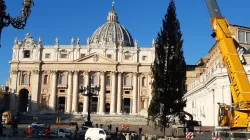 Aufbau des Weihnachtsbaums auf dem Petersplatz im Vatikan am 30. November 2020. / EWTN News / CNA Deutsch