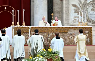 Papst Franziskus feiert das Messopfer  / CNA / Daniel Ibanez