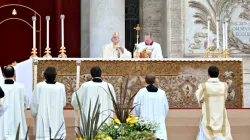 Papst Franziskus feiert das Messopfer  / CNA / Daniel Ibanez