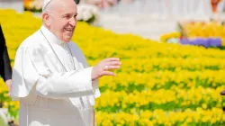 Papst Franziskus bei der Generalaudienz auf dem Petersplatz am 24. April 2019 / Lucia Ballester / CNA Deutsch