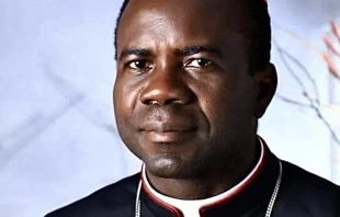 Bischof Moses Chikwe / Erzbistum Owerri / Facebook