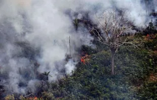 Feuer im Regenwald in Brasilien am 23. August 2019 / Carl de Souza / AFP / Getty Images.