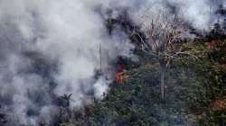 Feuer im Regenwald in Brasilien am 23. August 2019 / Carl de Souza / AFP / Getty Images.