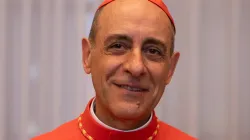 Kardinal Víctor Manuel Fernández / Daniel Ibáñez / CNA Deutsch
