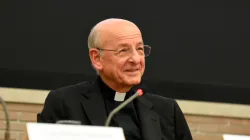 Prälat Fernando Ocáriz / Prelatura de la Santa Cruz y Opus Dei