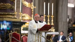 Der Präfekt der vatikanischen Kongregation für die Evangelisierung der Völker, Erzbischof Fernando Filoni. / Radio Horeb