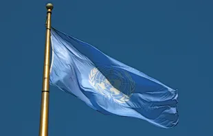 UN-Flagge auf dem United Nations Plaza in San Francisco (Vereinigte Staaten von Amerika). / Makaristos / Wikimedia (CC0) 