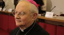 Erzbischof Henryk Hoser ist der erste polnische Pallottiner, der zum Erzbischof ernannte wurde. Vor kurzem gründete er unter anderem einen diözesanen Internet-Fernsehsender, "Salve TV". / Bistum Warschau-Praga