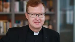 Pater Hans Zollner SJ / Rebecski CC 4.0