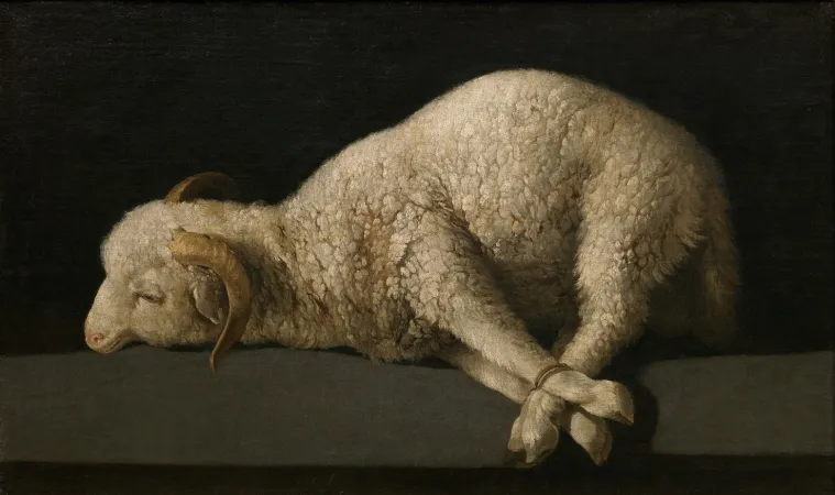Agnus Dei – Das Lamm Gottes – von Francisco des Zurbarán entstand um 1640. Das Original hängt heute im Museo del Prado.