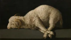 Agnus Dei – Das Lamm Gottes – von Francisco des Zurbarán entstand um 1640. Das Original hängt heute im Museo del Prado. / Gemeinfrei (CC0)