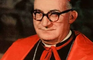 Kardinal Franjo Šeper / (CC0)