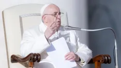 Papst Franziskus, Generalaudienz, 30. November 2022 / Daniel Ibáñez / CNA Deutsch