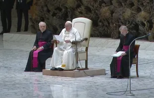 Papst Franziskus bei der Generalaudienz am 25. Januar 2023 / screenshot / YouTube / Vatican News