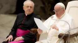 Papst Franziskus bei der Generalaudienz am 15. Februar 2023 / Daniel Ibáñez / CNA Deutsch