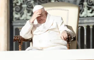 Papst Franziskus / Daniel Ibáñez / CNA Deutsch