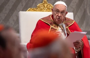 Papst Franziskus am 19. Mai 2024 (Pfingsten) im Petersdom / Daniel Ibáñez / CNA Deutsch