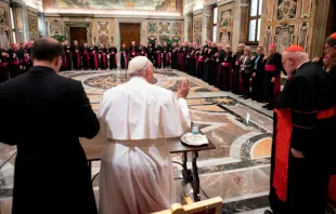 Papst Franziskus mit den deutschen Bischöfen / Vatican Media