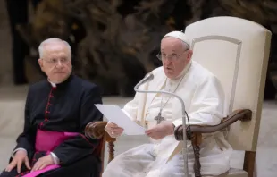 Papst Franziskus bei der Generalaudienz am 9. August 2023 / Daniel Ibáñez / CNA Deutsch