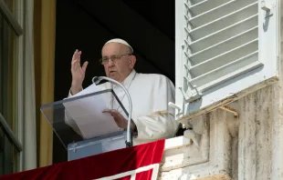 Papst Franziskus / Vatican Media