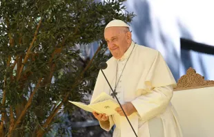 Papst Franziskus am 3. August 2023 in Portugal / Vatican Media