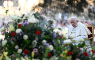 Papst Franziskus am 30. September 2023 / Vatican Media