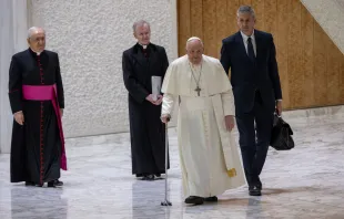 Papst Franziskus / Daniel Ibáñez / CNA Deutsch