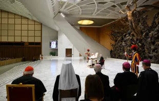 Papst Franziskus bei einer Generalaudienz / Vatican Media