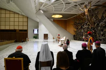 Papst Franziskus bei einer Generalaudienz / Vatican Media