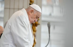 Papst Franziskus / Vatican Media