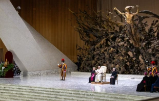 Papst Franziskus in der vatikanischen Audienzhalle / Daniel Ibáñez / EWTN News