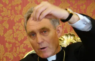 Erzbischof Georg Gänswein / CNA/Paul Badde