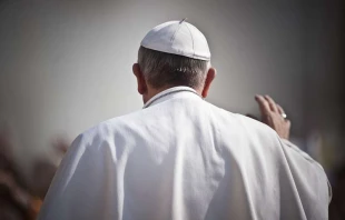 Generalaudienz mit Papst Franziskus am 17. April 2013 / Mazur-catholicnews.org.uk (CC BY-NC-SA 2.0)