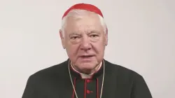 Kardinal Gerhard Müller / screenshot / YouTube / Centrum Życia i Rodziny