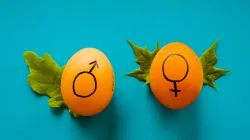 Symbole für das männliche und das weibliche Geschlecht / Dainis Graveris / Unsplash