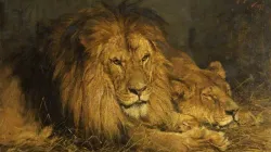 "The British Lion / Repose" - Gemälde von Géza Vastagh (1899)
 / Wikimedia / Russell-Cotes Art Gallery and Museum (CC0)
