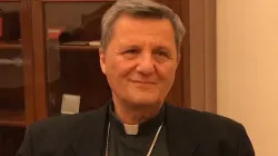 Kardinal Mario Grech / screenshot / YouTube / Vatican News - English