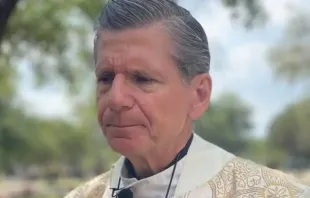 Monsignore Gustavo Garcia-Siller, Erzbischof von San Antonio (Texas) / Ersdiözese San Antonio