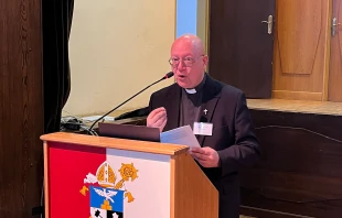 Manfred Hauke / Foto: Peter Düren