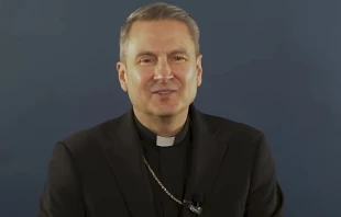 Bischof Ronald Hicks / screenshot / YouTube / Diocese of Joliet